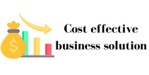 cost effective business solution